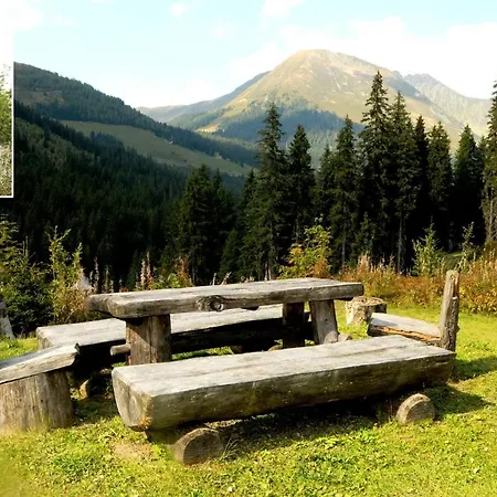 Kaiser-franz-josef Huetten Zilf103 بيت للعطل هوشفينغ